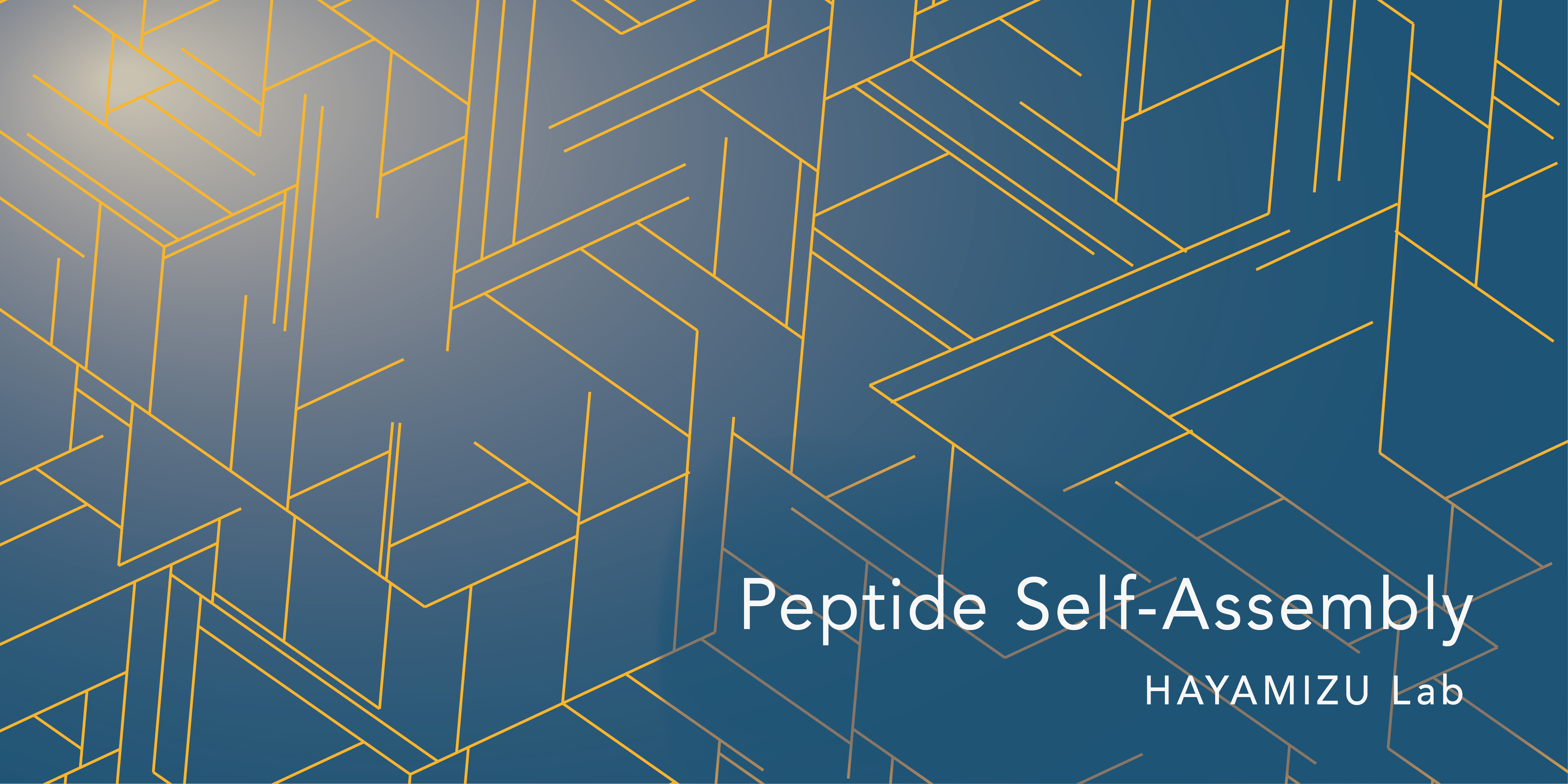 peptide selfassembly